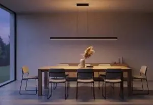 Must-Have Strakke hanglamp TANDRIA 160 cm | Zwart