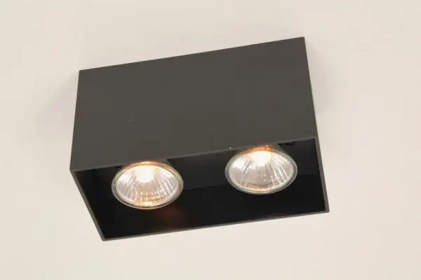 Populair Plafondlamp / Opbouw spot CUBA 2-lichts | Zwart