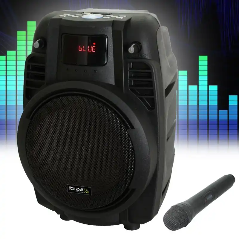 Snelle Levering PA-muzieksysteem, USB/SD, Bluetooth, microfoon, afstandsbediening