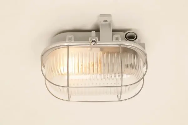 Gecertificeerd Buitenlamp BULLY XL voor wand of plafond | Grijs