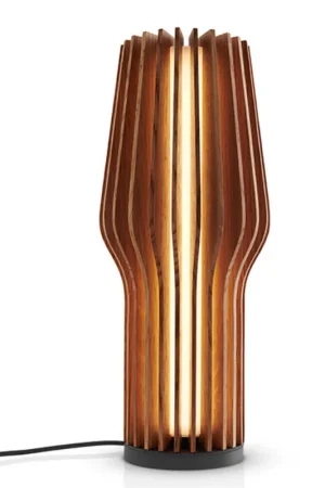 Goedkoop Eva Solo: Radiant portable lamp eiken