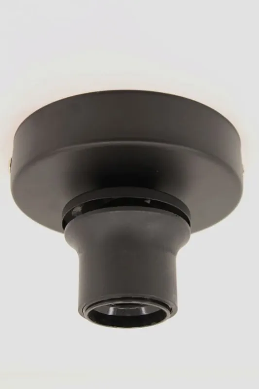 Gecertificeerd Losse 1-lichts strakke zwarte plafondlamp | zonder glas of kap