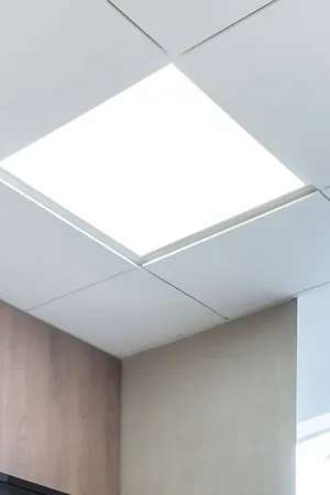 LED inbouwpaneel, 1350 lumen, koel wit, L 16 cm Flitsaanbieding