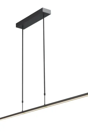 Betaalbaar Masterlight Hanglamp Real 2 LED 160 cm zwart nikkel