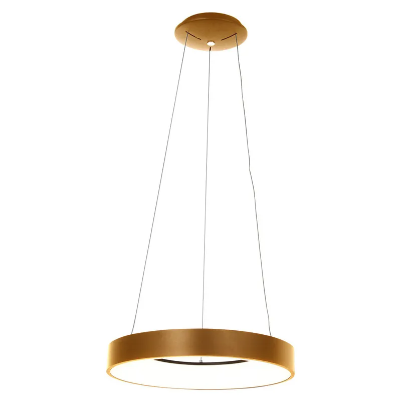 Tijdelijk Beschikbaar Steinhauer Hanglamp Ringlede Ø 48 cm 2695 goud