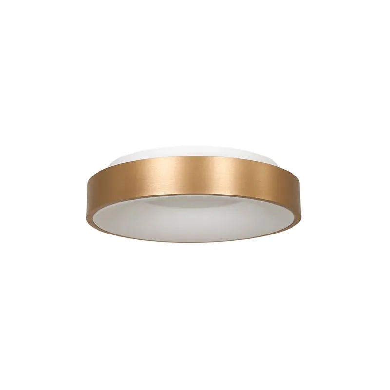 Direct Beschikbaar Plafondlamp Ringlede 30cm matgoud