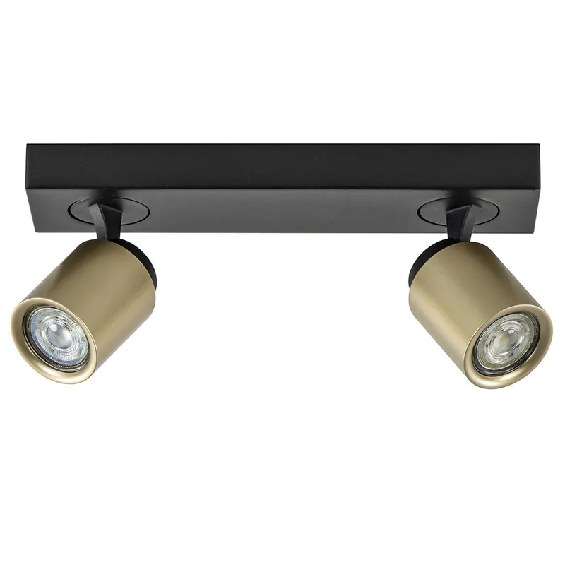 Dagaanbieding Plafondspot Razza 2L zwart/matgoud