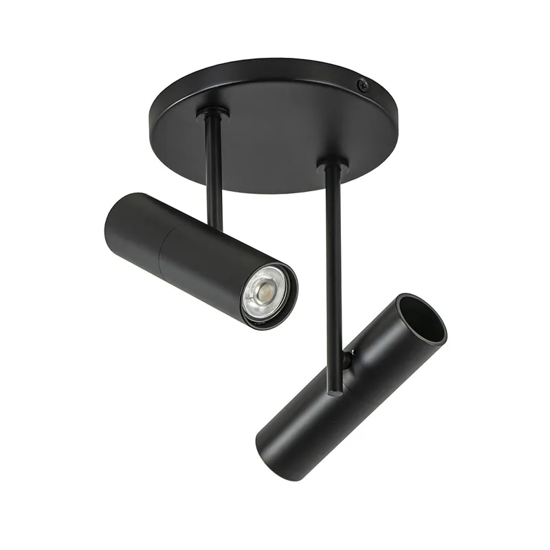 Weekendaanbieding Plafondspot Trend 2L rond zwa