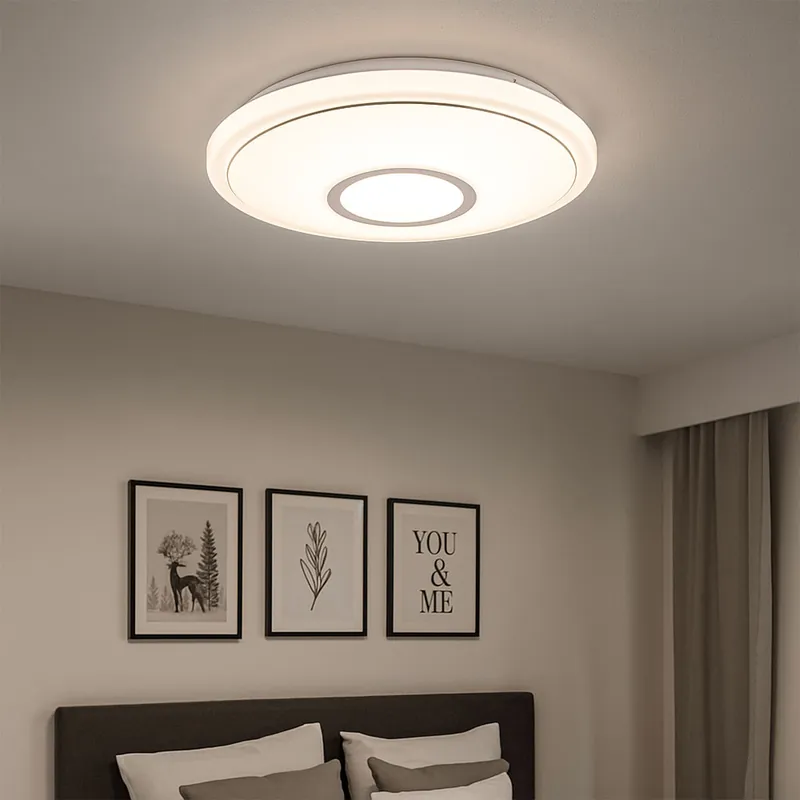 RGB LED plafondlamp, afstandsbediening, app en stembediening Hoge Kwaliteit