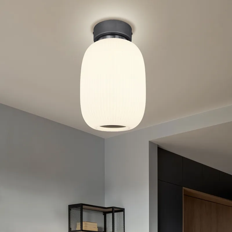 LED plafondlamp, glas, metaal, grafiet, H 32,5 cm Betrouwbaar