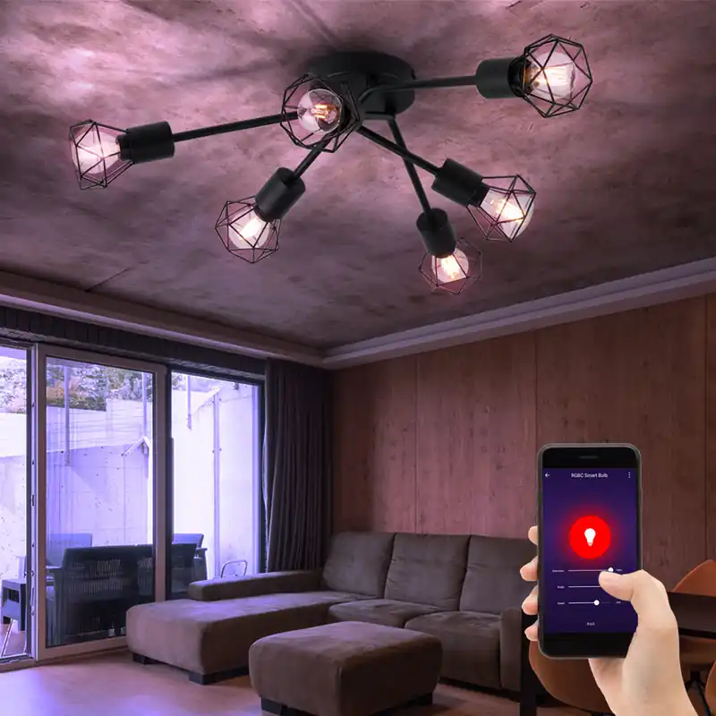 Fabrieksprijs RGB LED plafondlamp, kooiconstructie, zwart, rond, 63 cm