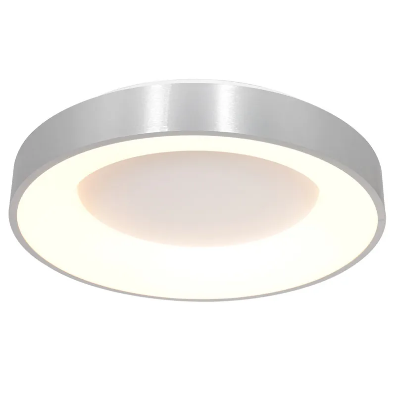 Shop Nu Steinhauer Plafondlamp Ringlede Ø 48 cm 2563 zilver