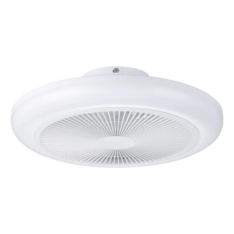 Korting EGLO Sayulita 1 Plafondlamp met ventilator - 46 cm - RGB