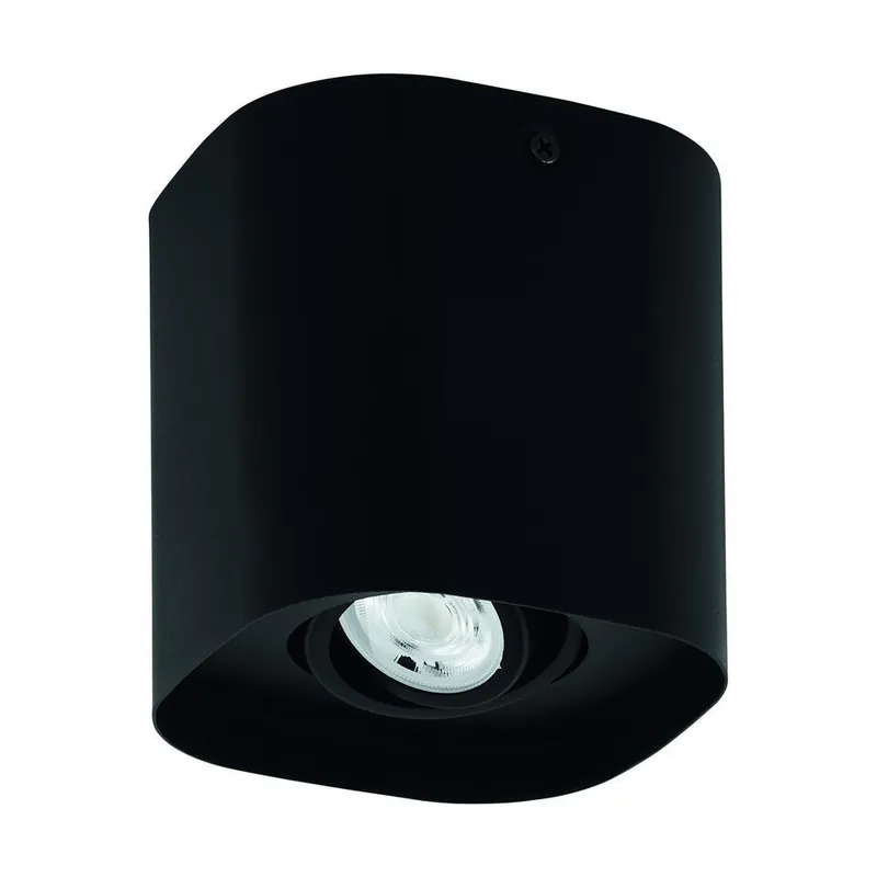 EGLO connect.z Caminales-Z Plafondlamp - LED - 12.5 cm - Zwart - RGB Direct Beschikbaar