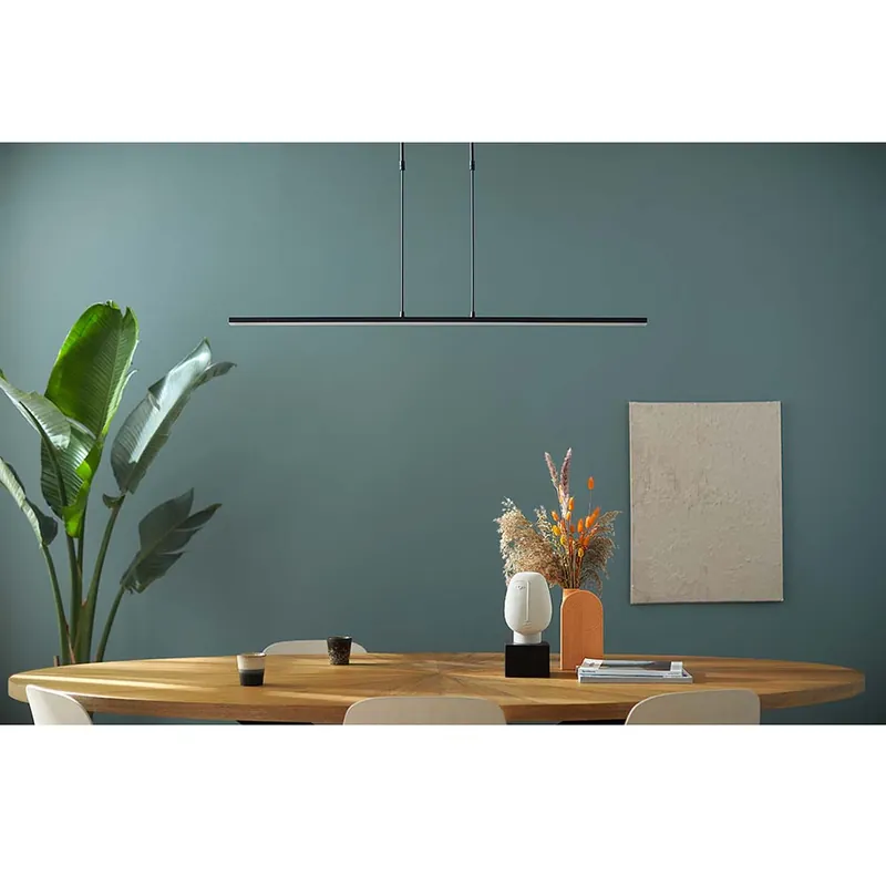Bestel Nu LED hanglamp, dimbaar, metaal, zwart, hoogte flexibel
