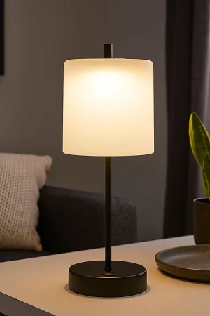 Alleen Vandaag LED tafellamp, zwart, witte touchdimmer, oplaadbare batterij, H 34,5 cm