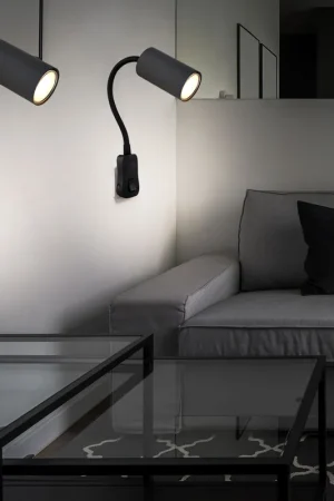 2x stekkerlamp, zwanenhals, grafiet zwart, H 43 cm Shop Nu
