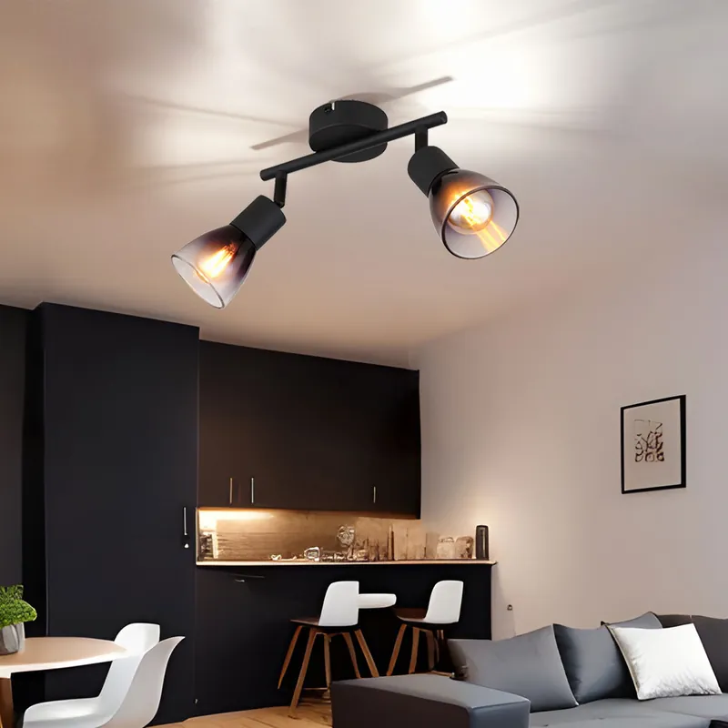 Plafondlamp, metaal, mat zwart, L 22 cm Betrouwbaar