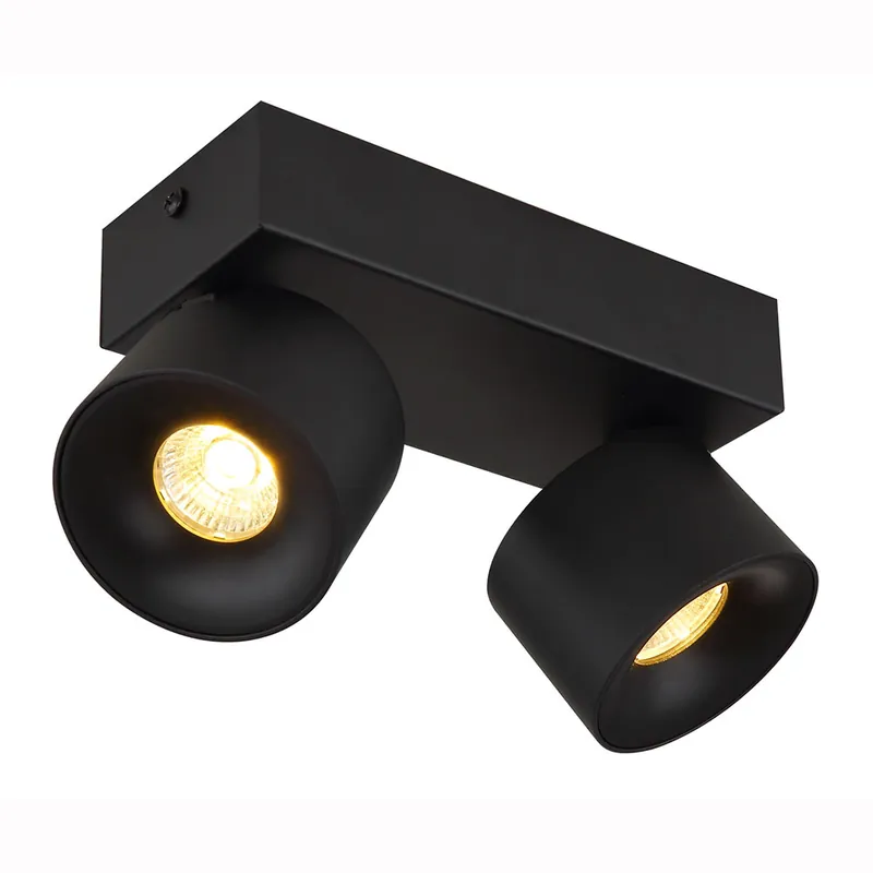 LED plafondlamp, zwart, mat, 2 vlammen, verstelbaar Direct Beschikbaar