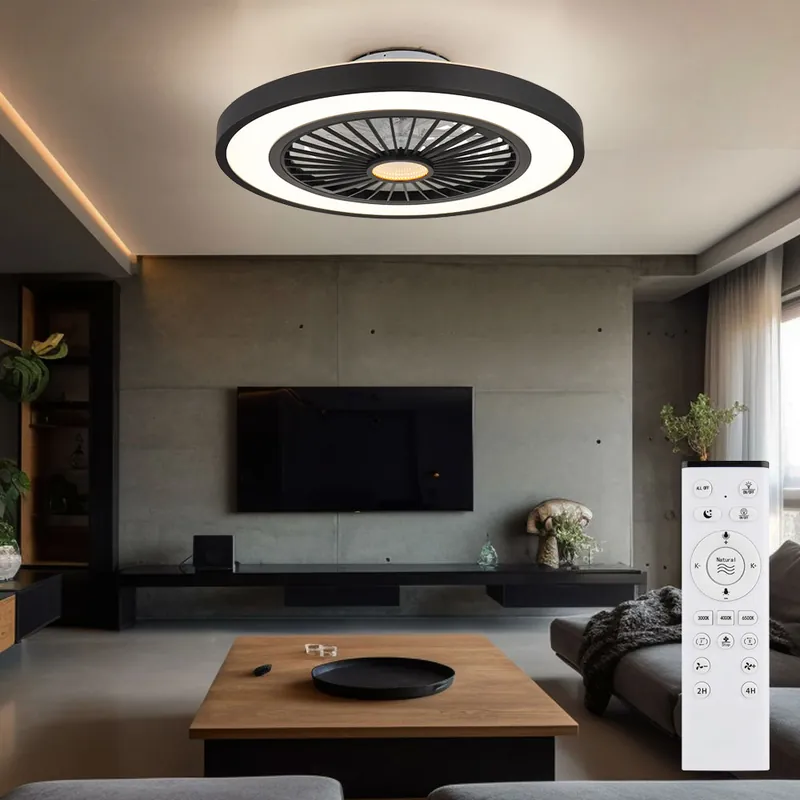 LED plafondventilator, dimbaar, afstandsbediening, CCT, D 54 cm Snelle Levering