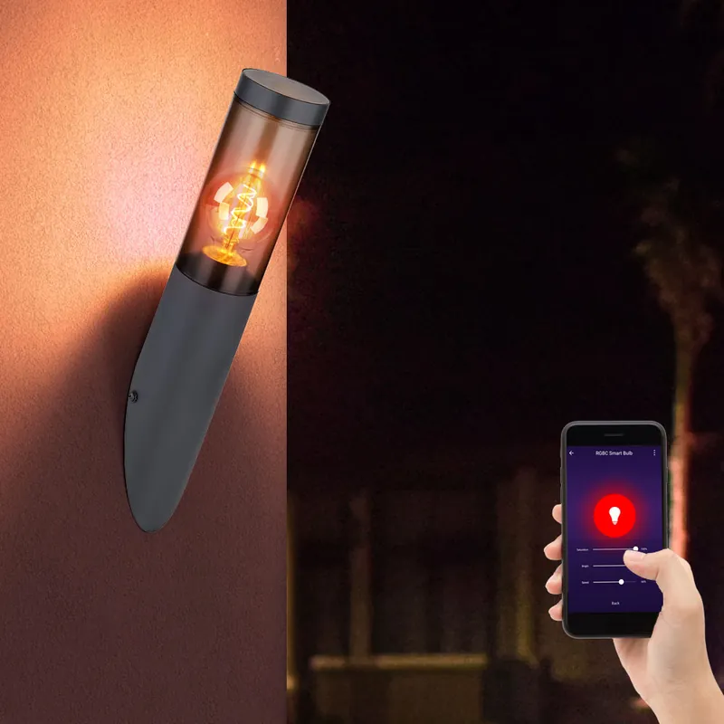 Rechtstreeks Van De Fabrikant RGB LED wandlamp, antraciet, smoke, app-bediening, H 40 cm
