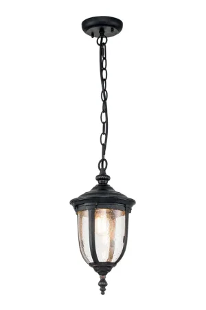 Buiten hanglamp, brons aluminium, helder glas, D 18,5 cm Uitverkoop