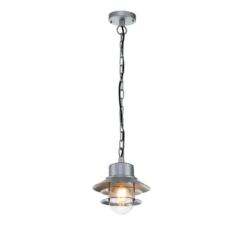 Buiten hanglamp, roestvrij staal, helder glas, D 22 cm Beste Prijs