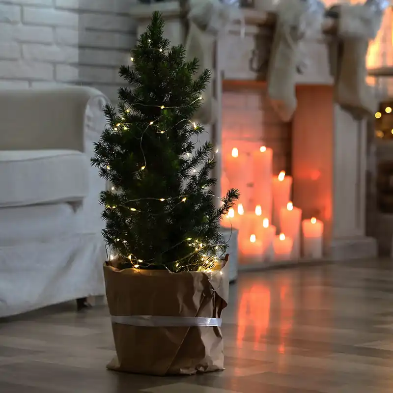 Goedkoop LED sprookjesverlichting, 20 LED's, batterij, zilver, L 220 cm