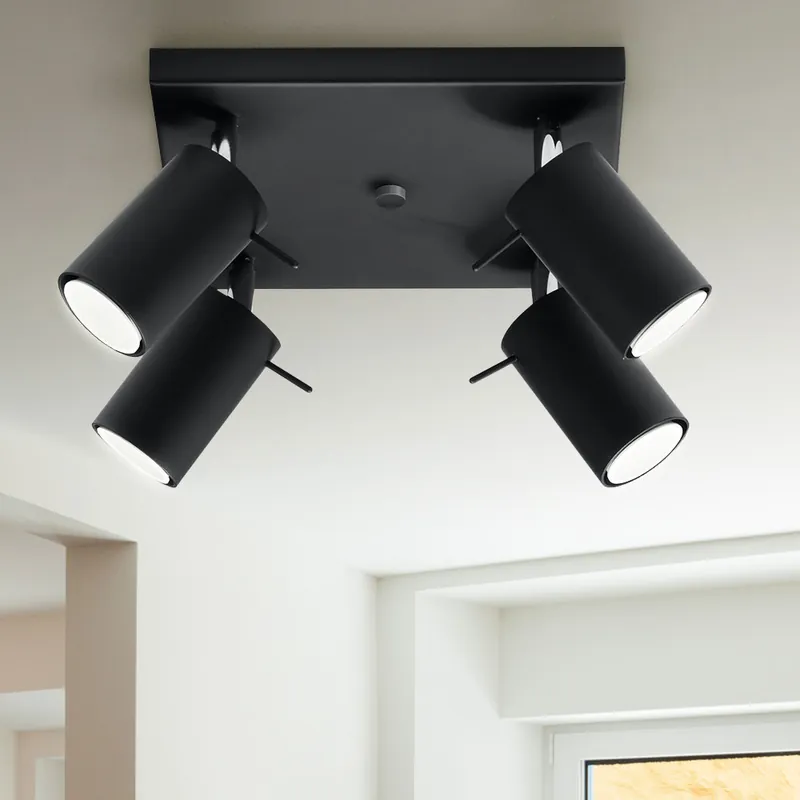 Nu Kopen Plafondlamp, staal, zwart, verstelbare spots, L 25 cm