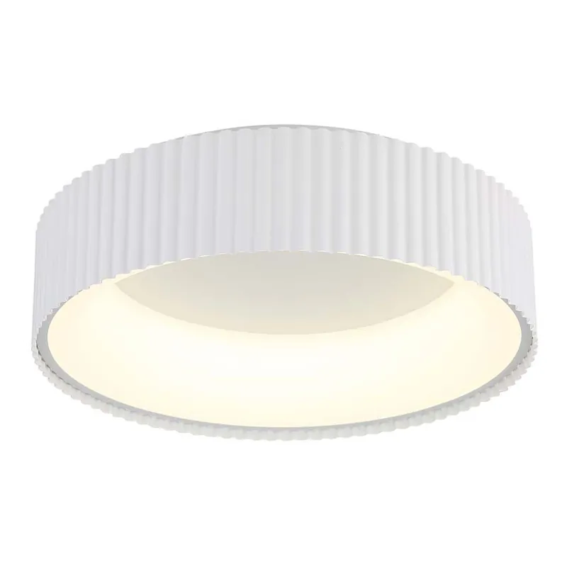 LED-plafondlamp, acryl, opaal, geheugenfunctie, D 46 cm Actieprijs