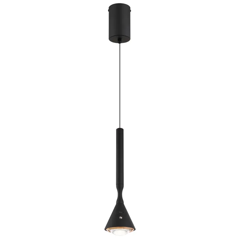 LED-hanglamp, matzwart, touchdimmer, werkt op batterijen, hoogte 210 cm Uitverkoop