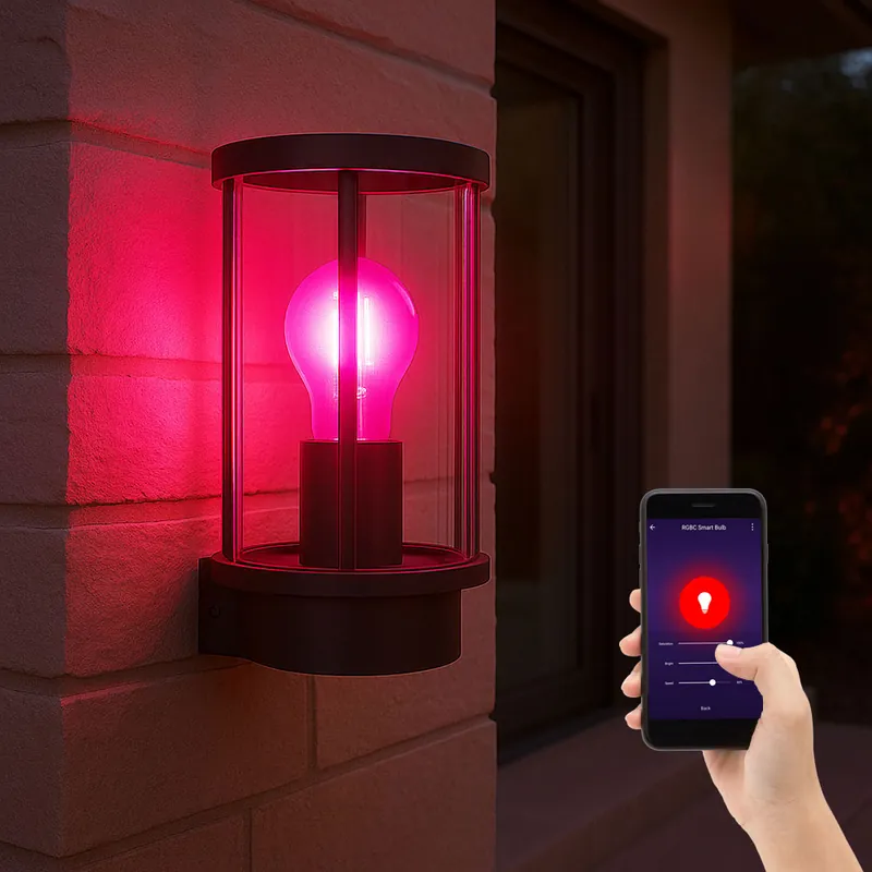 Direct Verzonden Slimme RGB LED wandlamp, zwart roestvrij staal, glas, h 25,2 cm