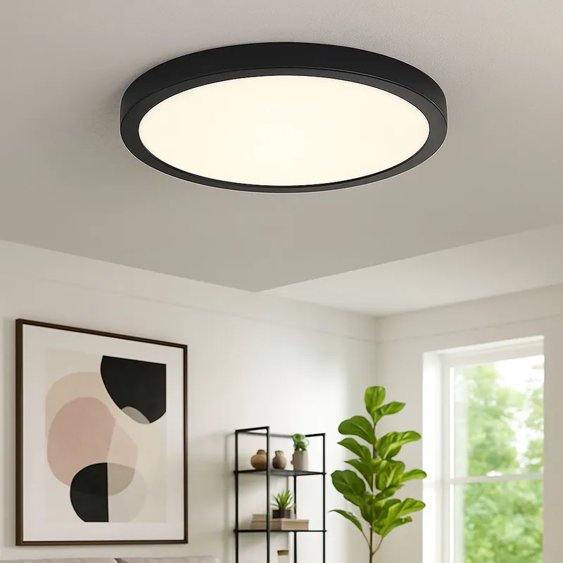 LED plafondlamp, opbouwlamp, zwart, D 40 cm Gratis Retour