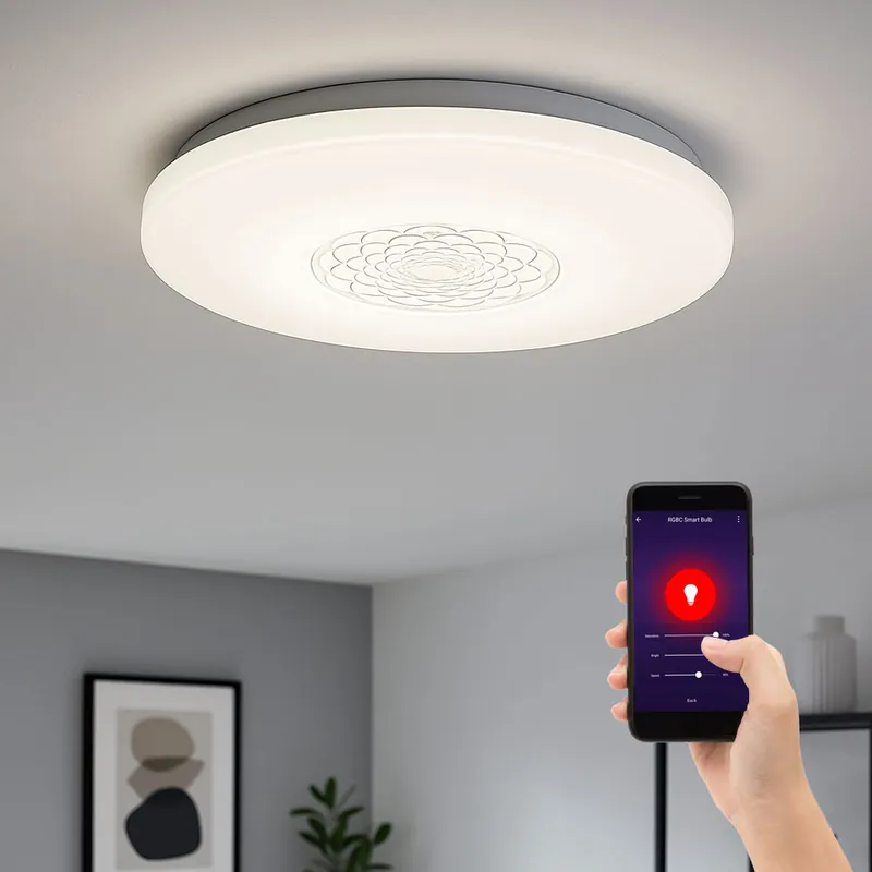 Rechtstreeks Van De Fabrikant LED plafondlamp, wit, dimbaar, app-bediening, D 34 cm